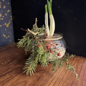 'Paperwhite Nir' Single Bulb in Guppy Bowl